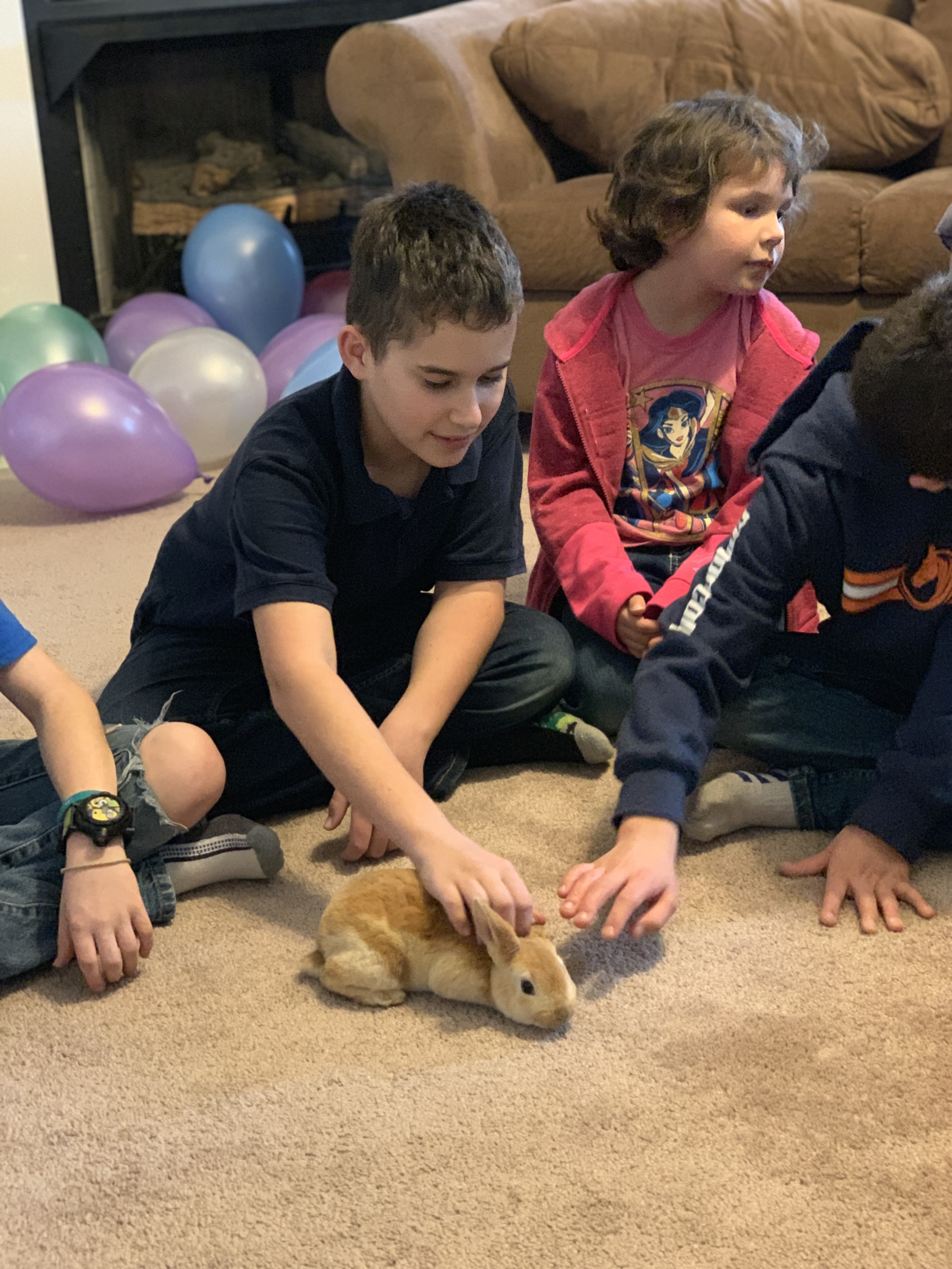 bunny